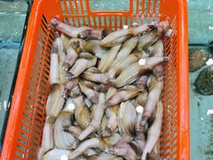 -天天海鲜城·海鲜大排档(新溪店)