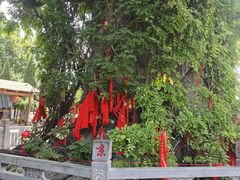 -大槐树寻根祭祖园