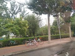 -天津市人民医院-停车场