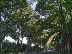 -丝绸小镇荻港古村