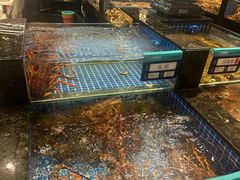 -东海怡品海鲜豆捞(星街坊店)