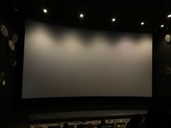 -百美汇影城(LUXE嘉里中心店)