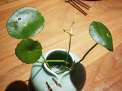-顺承小院儿