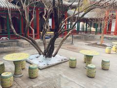 -宫事颐庭·老佛爷贵寿下午茶(颐和园店)