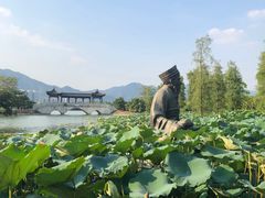 -飞来湖湿地公园