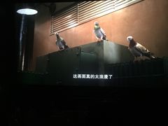 -博纳国际影城(铜锣湾激光巨幕杜比店)