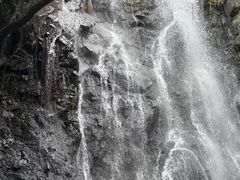 -马峦山郊野公园