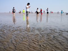 -南汇新城海滩
