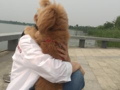 -如皋市龙游湖欢乐世界