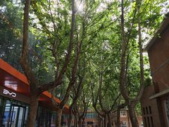 -西安电影制片厂