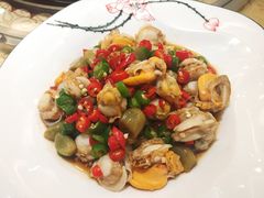 -熊大爷现包饺子(和平里店)