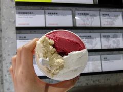 油柑茉莉-DIP in GELATO(富民路店)
