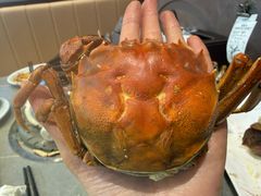 -万达广场(济南魏家庄店)