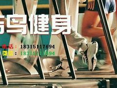 -金吉鸟健身游泳