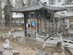 -桃花堤公园