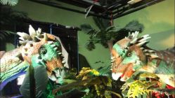 -恐龙探索乐园(磁器口店)