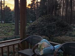 -上海怡沁园度假酒店