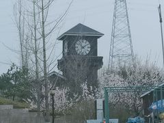 -永定河休闲森林公园