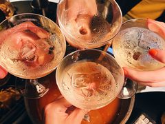 -毛辣果·酸