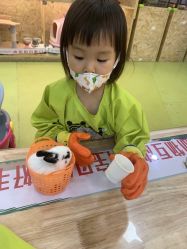 -萌宠家互动乐园