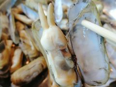 -四海蒸鲜蒸汽海鲜自助(北戴河店)