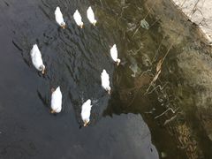 -北京水岸山吧度假村(雁栖镇店)