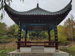 -月湖风景区
