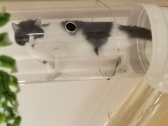 -萤火虫咖啡(后海店)