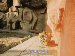 -荆州中山公园动物园