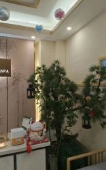 -芳朵美容养生SPA