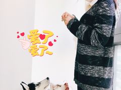 -Husky Go! 哈士奇体验馆·宠物咖啡厅狗咖