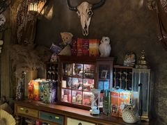 -雪灵魔法世界SHELLY’S TAROT(大良桂畔里店)