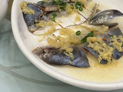 -新成海港大酒楼(康华路店)
