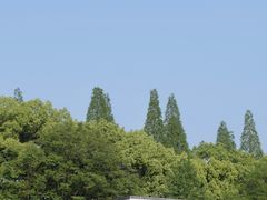 -食膳公园包子铺(烈士公园店)