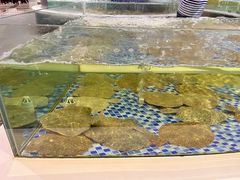 -海鲜码头