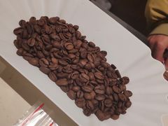 -Punchline Coffee&Roaster(同济大学店)