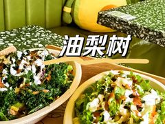 -油梨树AVOCADO TREE(顺义新国展店)