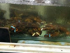 -塔湾北行农贸市场