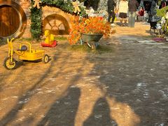 -HERRE·FARM 赫尔露营农场·团建聚会包场