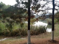 -江南大学(蠡湖校区)