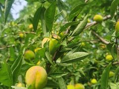 -上海市保健医疗中心