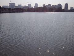 iphone_upload_pic-白塘生态植物园