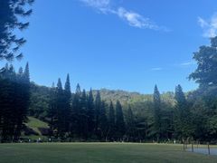 -深圳仙湖植物园