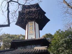 -上海佘山国家森林公园天马山园