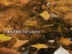 -北京石刻艺术博物馆(五塔寺)