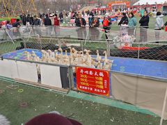 -五环公园