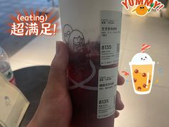 芝芝多肉杨梅-喜茶(中山利和新地店)