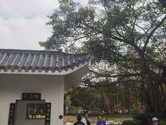 -四海公园(南山区)