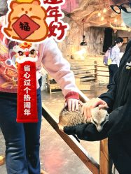 -Zoolung Zoolung动物主题公园(海信广场店)