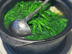 -侨美·唐荔园·40年地道粤菜